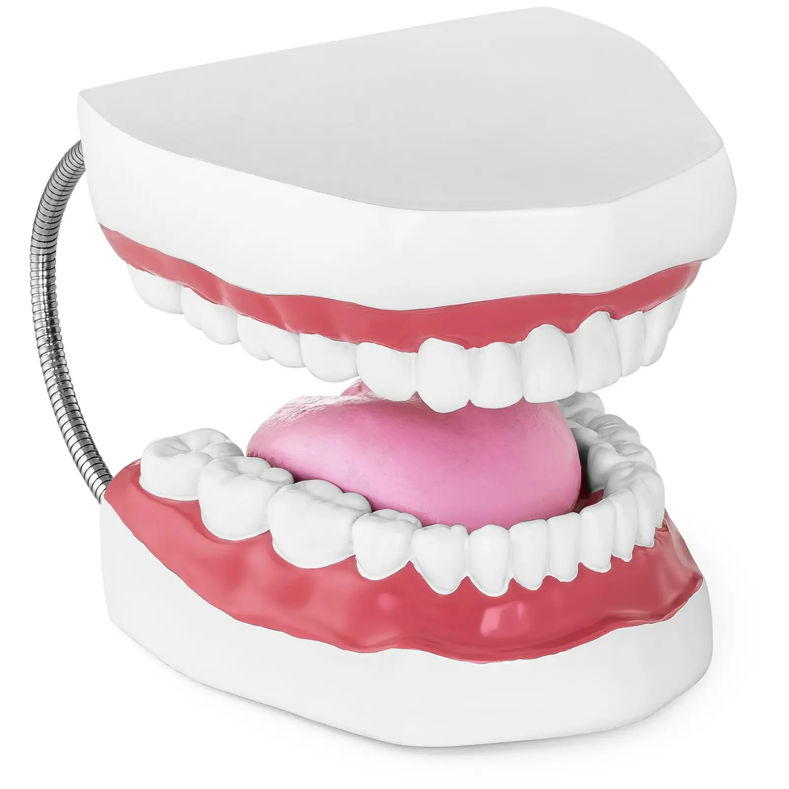 Model zuba - set zuba